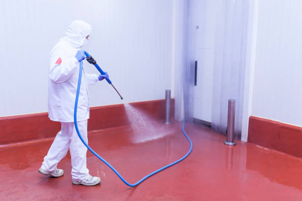 Best Rust Removal  in Bridgeport, MI