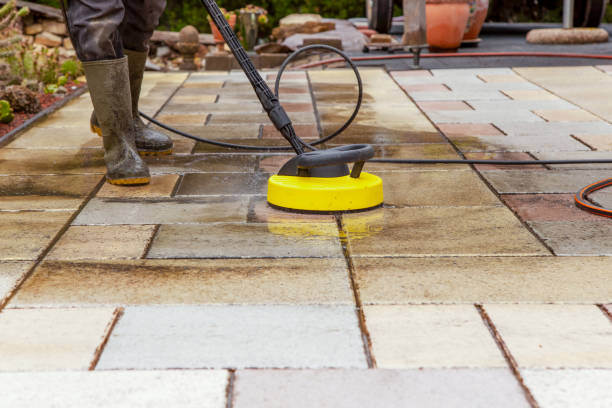 Best Spring Cleaning  in Bridgeport, MI